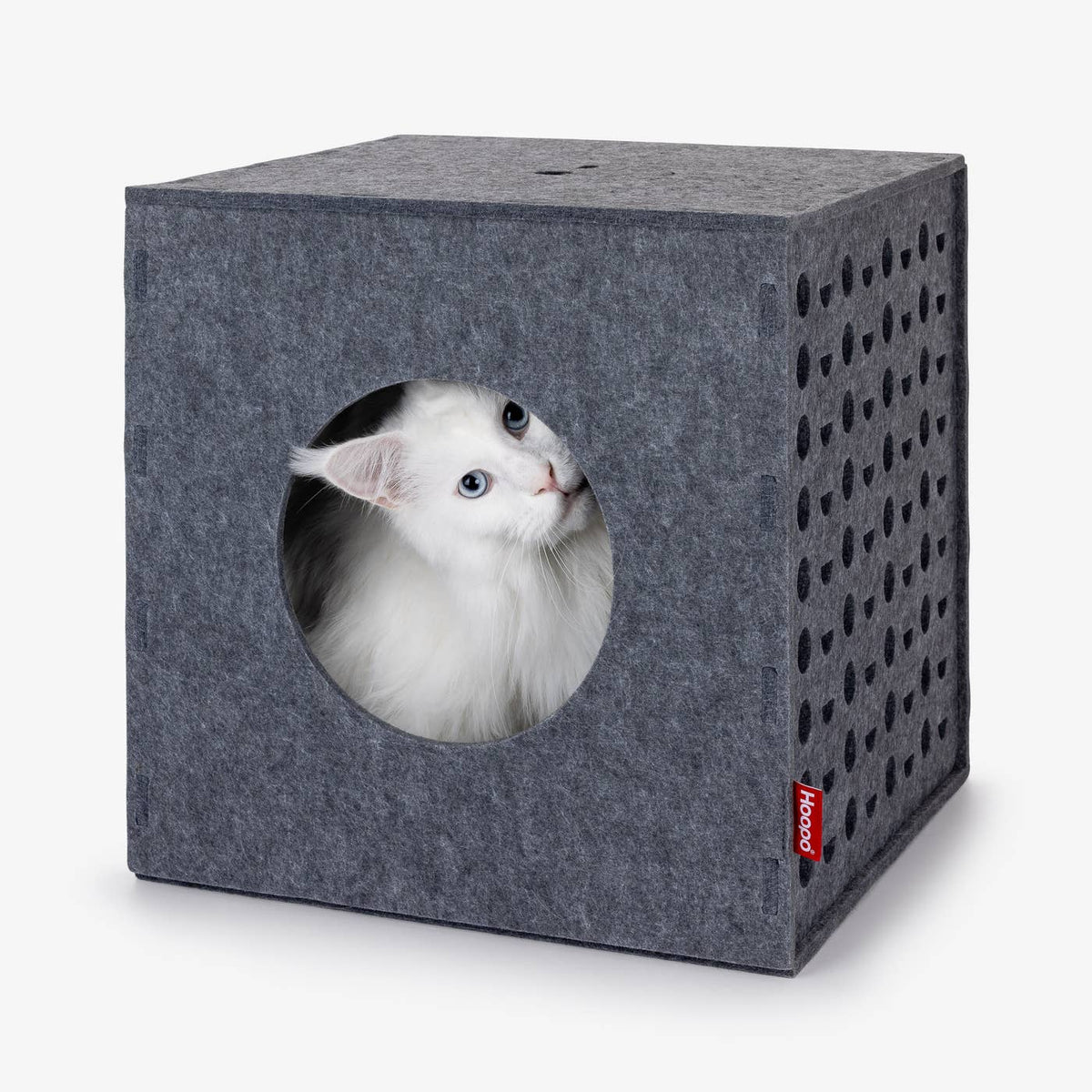 Kissa Hoopo Cube -kuutiossa